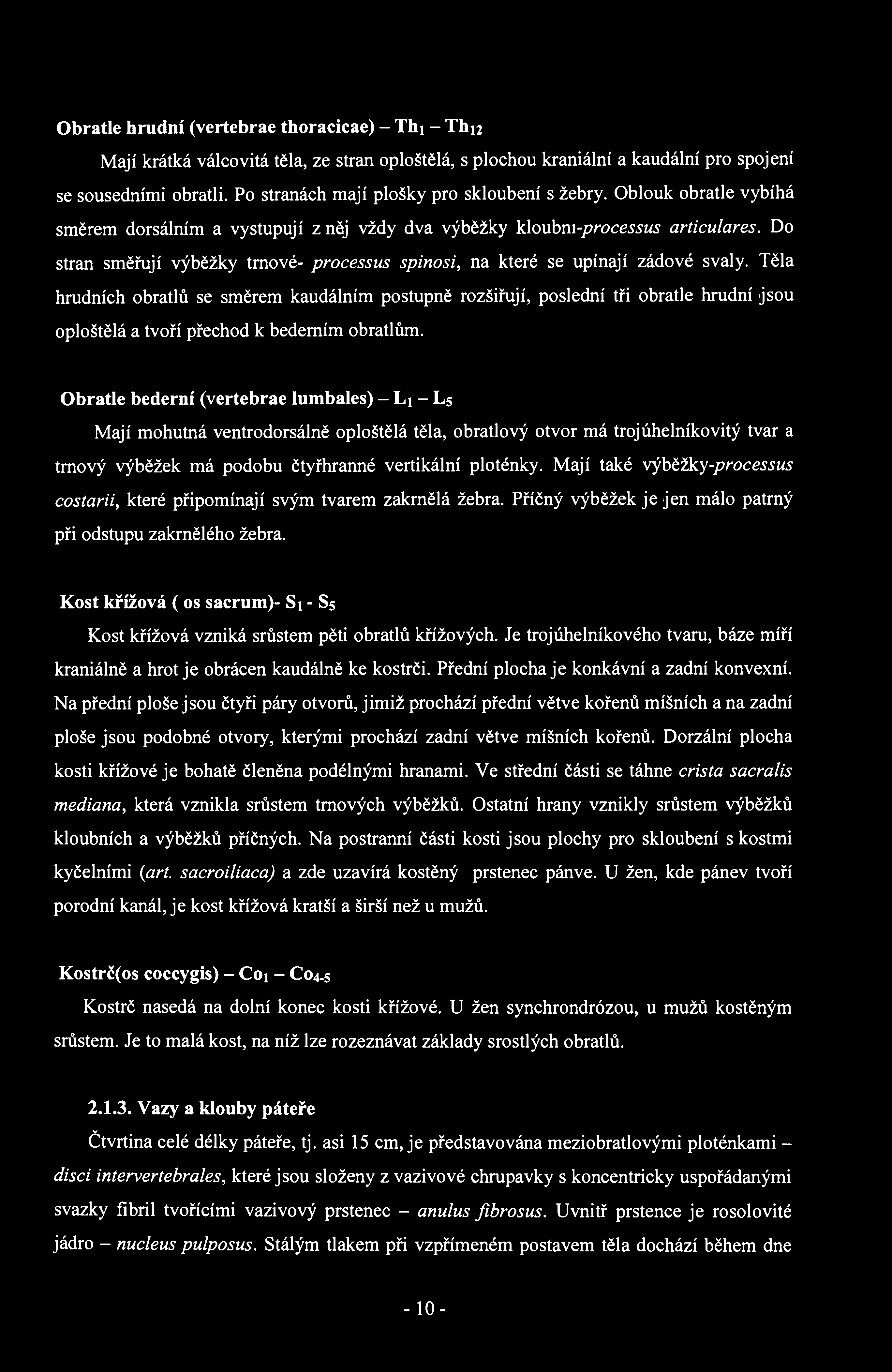 Obratle hrudní (vertebrae thoracicae) - Thi - Thn Mají krátká válcovitá těla, ze stran oploštělá, s plochou kraniální a kaudální pro spojení se sousedními obratli.