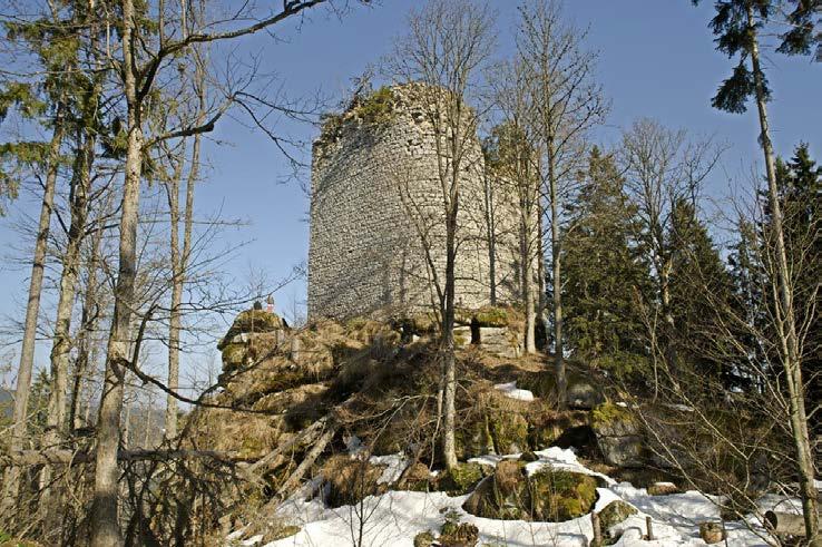 Rezidenční funkce Donjon obytná věž