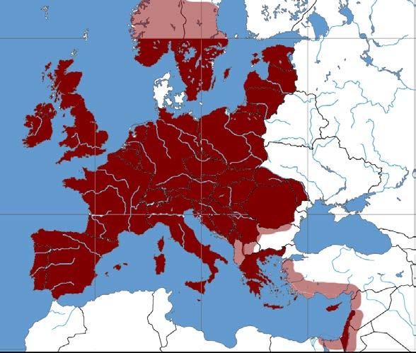 Evropa Počátky 10. 14. století Konec 17. 18.