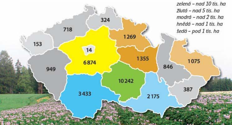 Obrázek č. 1: Osevní plocha brambor v ČR v roce 2008 dle krajů v hektarech (dle ČSÚ, celkem 29 788 ha) Zdroj: http://www.vubhb.cz/_t.asp?f=publikace/26ekonomikapb/default.htm 2.