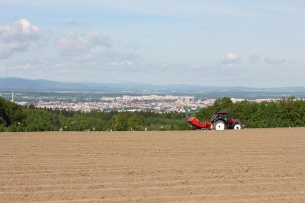 Graf č. 5 poškození hlíz % 50 29,5 20,24 0 Nepoškozené hlízy Poškození do 1,7mm Poškození 1,7 5mm Poškození nad 5 mm 5.5 Měřený pozemek č. 3 vzorek č. 6 České Budějovice Rudolfov 10.