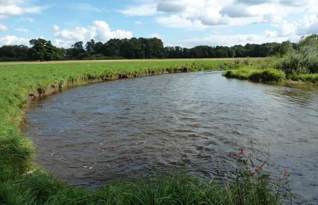 4: Přirozeně meandrující tok Divoké Orlice Obr.