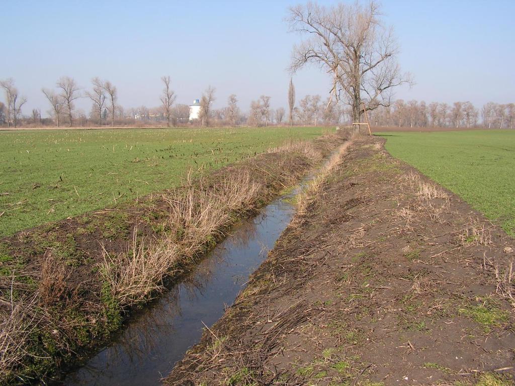 Výhled do budoucna Probíhá územní řízení: Revitalizace Stousky v obci Ústín (KpŘ)