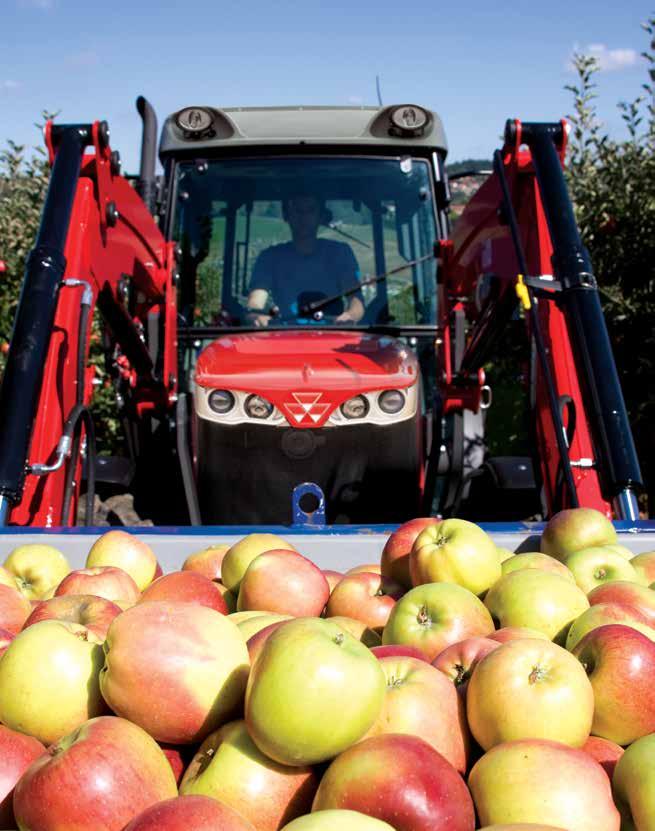 24 www.masseyferguson.com Čelní nakladače MF 900: Moderní, jednoduché, funkční Dokonalý výhled Využívejte neomezovaný výhled na nářadí při řadě použití.