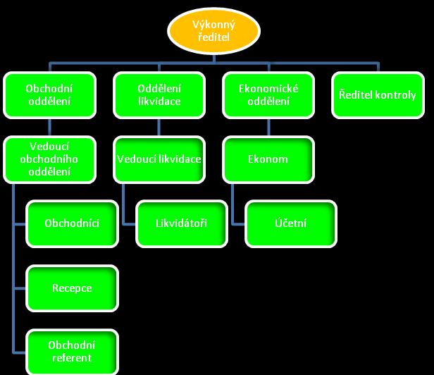 Organizační struktura: Představenstvo JUDr. Ing.