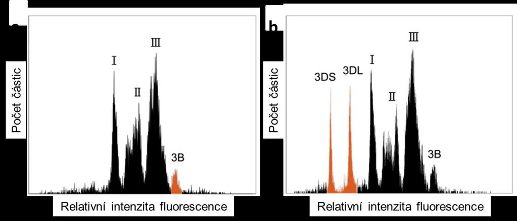 Obr. 2: Histogramy relativní intenzity fluorescence (flow-karyotypy) získané tříděním mitotických chromozómů značených fluorescenčním barvivem DAPI.