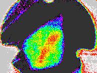 biodiverzity a plošného rozmístění druhů 1.4.