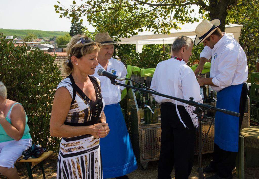 Výstava vín 2016