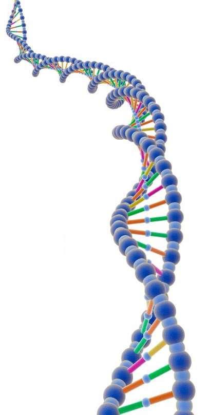 Farmakogenetika genotypizace identifikace genetických mutací podmiňujících vznik fenotypu se specifickým metabolismem 4