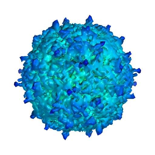 (+)ssrna VIRY