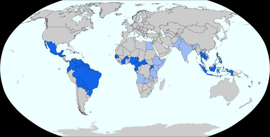 V (+)ssrna VIRY virus Zika Výskyt viru Zika ve světě