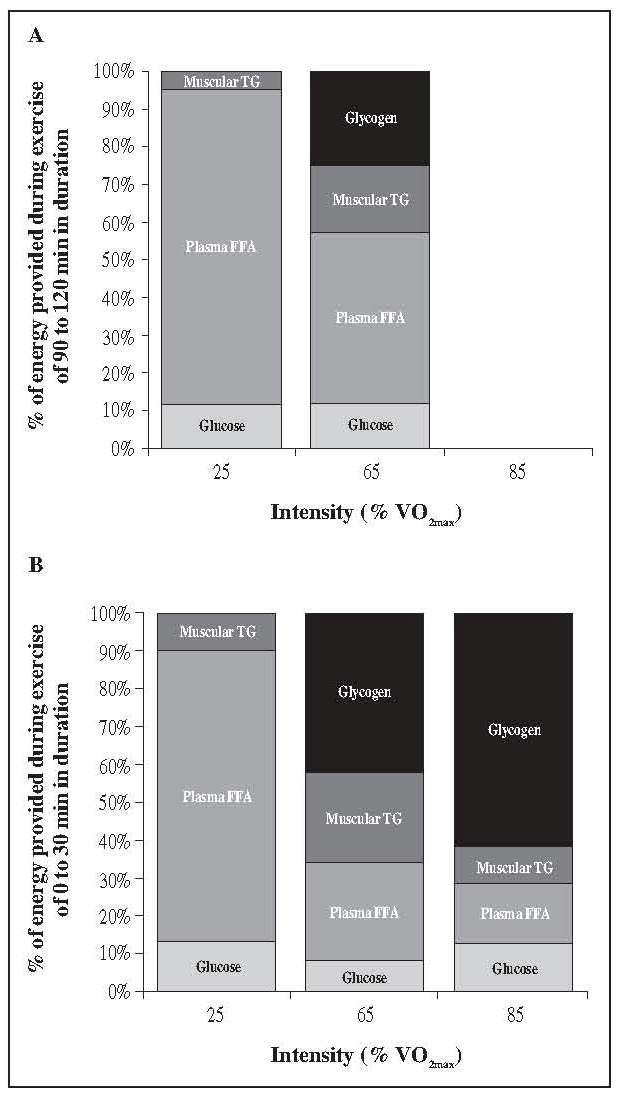 Obrázek 3 Podíl makronutrientů na tvorbě energie vyjádřený v procentech v závislosti na intenzitě a době trvání (graf A 120 min zátěže; graf B 30 min zátěže) ( Peinado, 2013) Pří nízké intenzitě (do