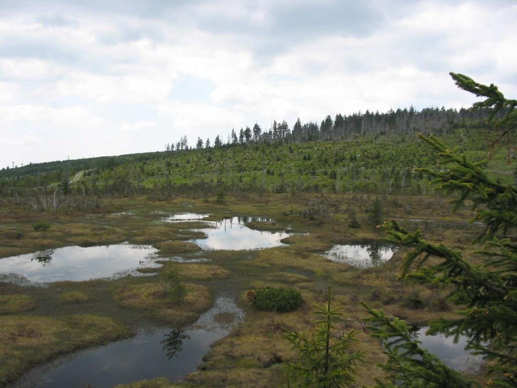 Jizerská louka 16.