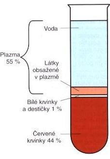 2. Oběhová soustava Tato práce se zabývá prouděním krve v rozvětveném cévním řečišti. Na začátek rozebereme oběhovou soustavu spolu s krví a jejím prouděním a s cévami, kterými protéká.