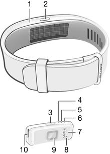 Základní postupy Úvod Náramek SmartBand 2 je zařízení, které vám nejlépe poslouží po bezdrátovém propojení s vaším iphonem pomocí funkce Bluetooth.