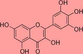 Myricetin 3,3,4,5,57-hexahydroxyflavon se nachází ve vlašských oříšcích, červeném rybízu nebo čaji. Má příznivý vliv na metabolismus LDL cholesterolu, má antioxidační vlastnosti. [63] Obrázek č.