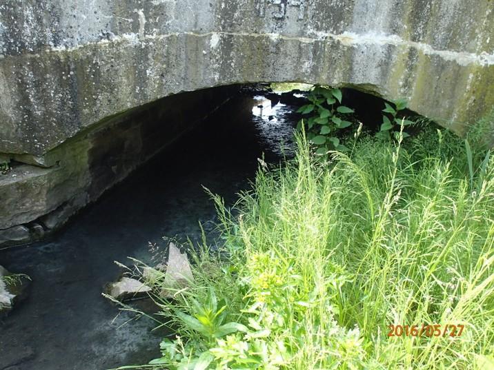 usazený sediment Způsob odstranění: ruční odstranění sedimentu