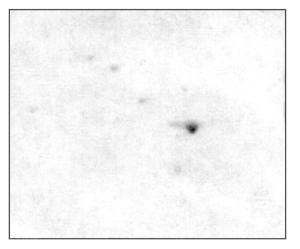 dové (Sigma-Aldrich) a spektrofotometr Ultrospec 2000 (Pharmacia Biotech).