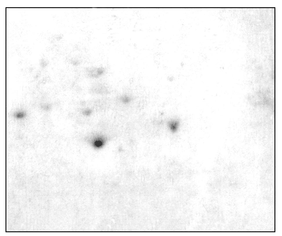 Chem. Listy 98, 1130 1134 (2004) Obr. 3.