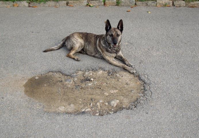 Pokud teplota klesá, asfaltové pojivo se chová jako pružná látka. Díky tomu není nutné vytvářet ve vozovce dilatační spáry. Pojivo je však za nízkých teplot tuhé a křehké.