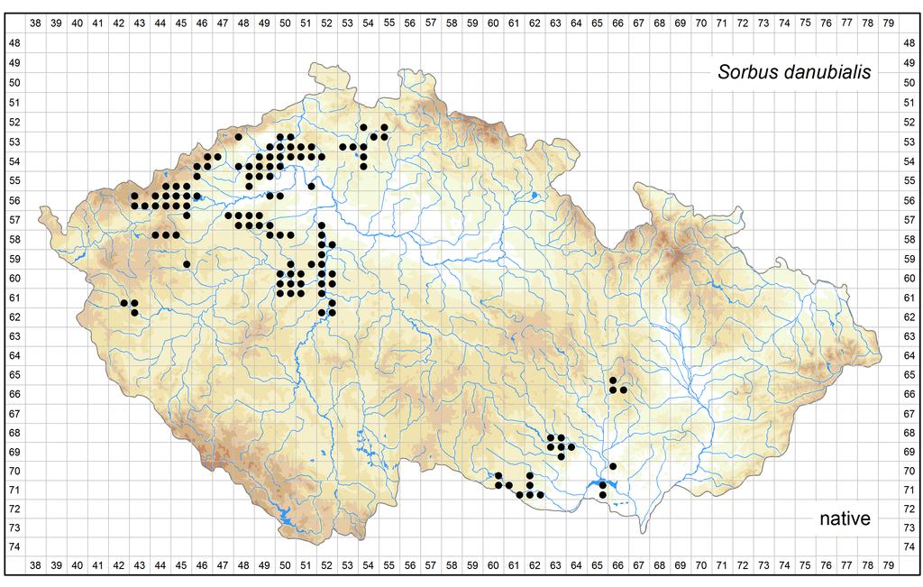 Distribution of Sorbus danubialis in the Czech Republic Author of the map: Martin Lepší, Petr Lepší Map produced on: 11-11-2016 Database records used for producing the distribution map of Sorbus