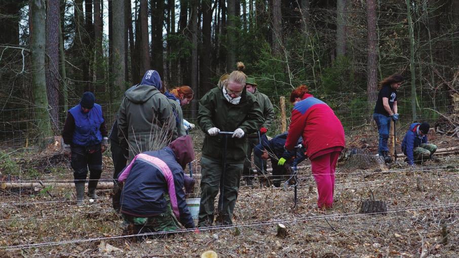 3.3.3 Opatření pro zvýšení úspěšnosti studia přijatá v roce 2014 Problematice snižování studijní neúspěšnosti je na FLD věnována zvýšená pozornost, protože se jedná o dlouhodobý problém.