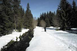 PLZEŇSKÝM KRAJEM Š U M A V A A K T I V N Ě V sedle protnutém silnicí najdeme rozc. Rovina 924 m a trosky býv. hostince. Přejdeme silnici a pokračujeme po zelené směr Pod Březníkem.