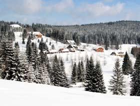 2 19 km běžky náročnost celkem Výchozím bodem je Modrava malebná horská obec (990 m.n.m.) a rekreační místo, kde je hned několik možností občerstvení.