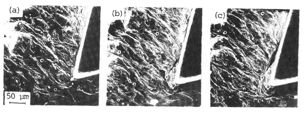 Obr. 1.
