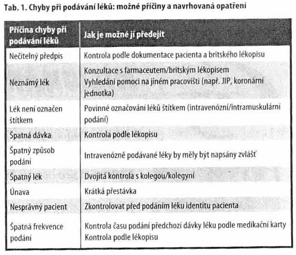 Příloha č.