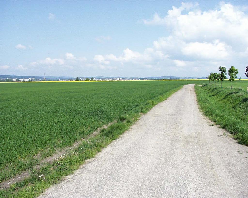 Krajina a pozemkové úpravy Ing. Jiří Hladík, Ph.