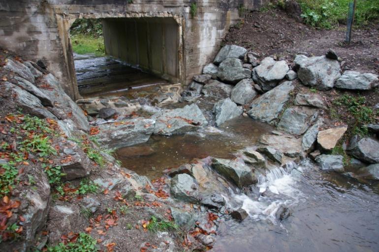 úmrtnosti živočichů spojené s rozvojem technické infrastruktury Výstavba