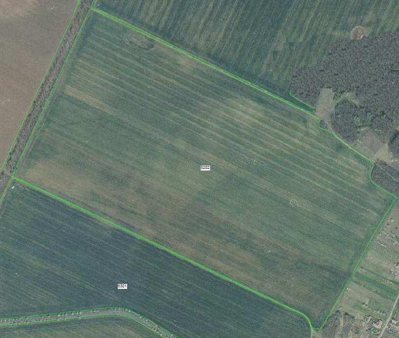 Pozemek Čejkovice se nachází v teplém suchém regionu v nadmořské výšce 211 m.