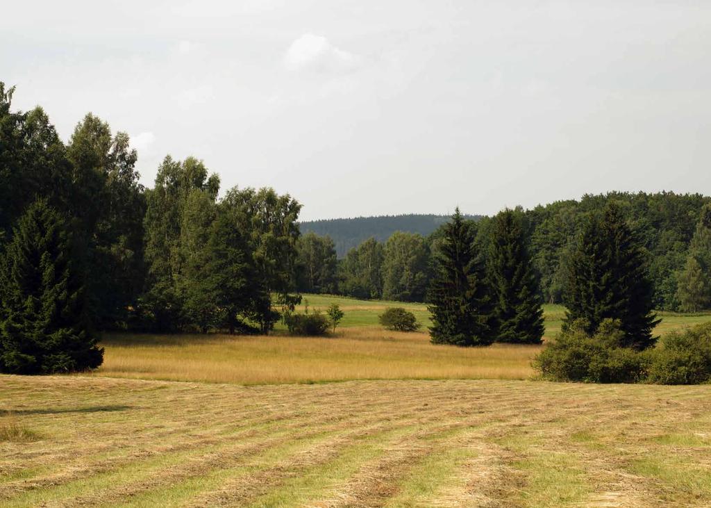 Pařízky upravujeme na úroveň povrchu půdy, což usnadní následnou péči o louku. Plochu po zásahu vždy pečlivě vyklidíme a vyhrabeme.