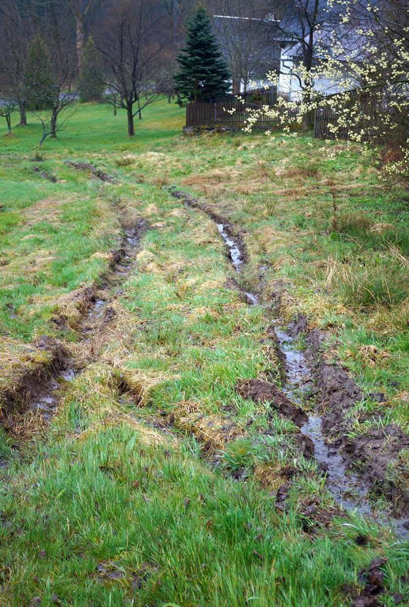 S rostoucí hmotností mechanizace se však zvyšuje měrný tlak na půdu. Velké stroje nemohou pracovat ve složitějším terénu a na drobných loukách. A přitom řadu cenných druhů najdeme právě tam.