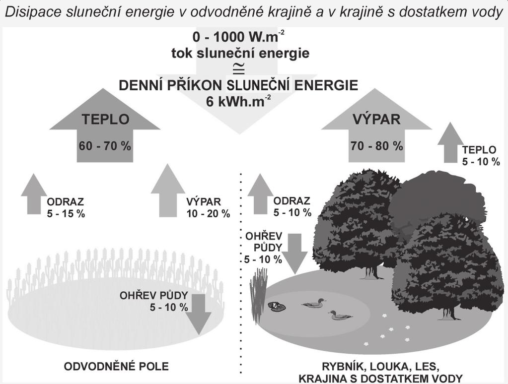 89 nimalizaci ztrát. Vegetace je tak řídícím článkem pro fungování terestrických ekosystémů a voda představuje medium pro přeměnu energie, transportní a chemické procesy.