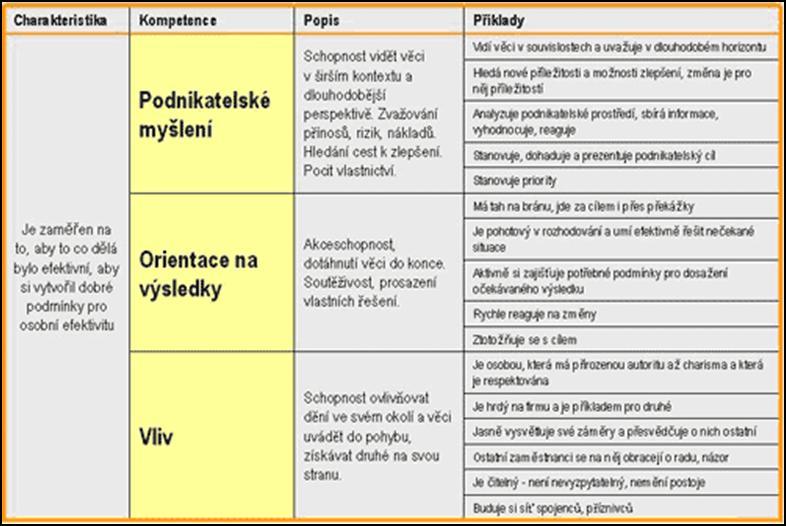 62 LITERÁRNÍ PŘEHLED schéma modelu model bývá představen vizuálně zajímavě, jelikož prezentace modelu v grafické podobě přispívá k rychlejšímu pochopení jeho klíčových rysů