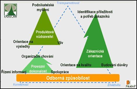 Některé modely dále ještě obsahují informace o schopnostech a dovednostech potřebných pro rozdílné úrovně zvládnutí práce (tzv.