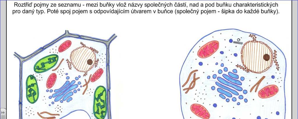 Šestý a sedmý list patří k sobě. Na šestém listu je zadání úkolu a sedmý list je připravený jako předloha pro kontrolu samostatně provedené práce. Skupinový úkol Ideální je varianta tří skupin.