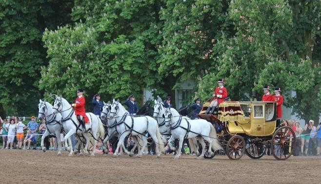 Šestispřeží starokladrubských koní z královského dvora v Dánsku Den starokladrubsého koně v Kladrubech nad Labem 28.6.2016. - chovatelské akce: Jarní třídění koní ve Slatiňanech, 3.5.
