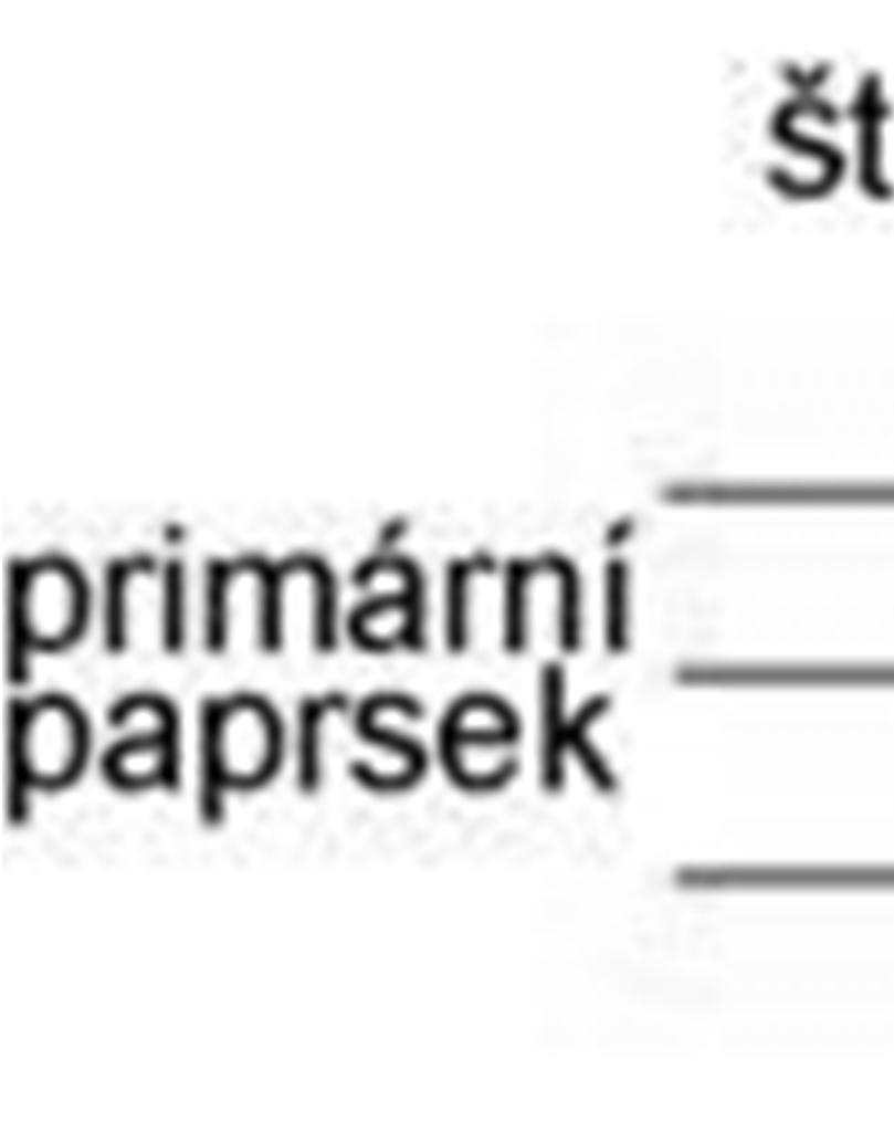 dynamický rozptyl světla (DLS Dynamic Light Scattering).