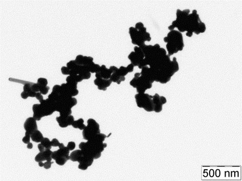 ) Snímek TEM 10 Koloidní částice stříbra připravené redukcí