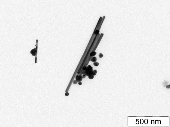 Snímek TEM 14 - Koloidní částice stříbra připravené redukcí [Ag(NH 3 ) 2 ] + stabilizované citranem ph = 5,84 (koncentrace NH 3 0,8 mmol dm -3 ) Snímek TEM 15 ph = 6,62