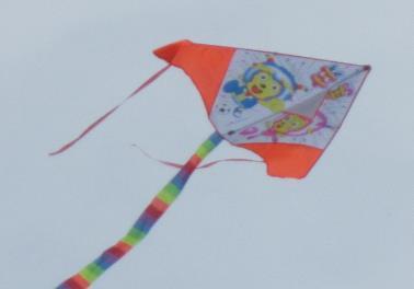 A draci, ti lítali pěkně vysoko! Na obloze se objevili draci různých tvarů, velikosti i zbarvení. Všechny děti byly za účast odměněny.