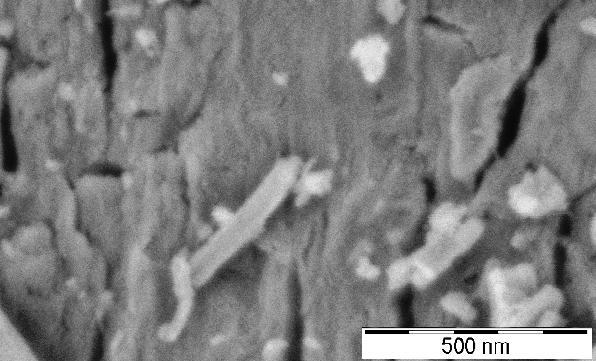 Snímky pořízené technikou rastrovací elektronové mikroskopie umožňují plastičtější pohled na povrchovou morfologii pozorovaných materiálů.