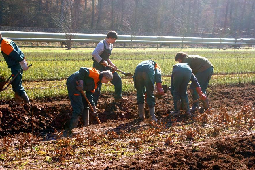 Třída 4. B studijní obor Lesnictví (třídní učitel RNDr. etr Kejklíček) Jarní termín maturitní zkoušky: státní část 4. 7. 5. 2015 profilová část 25. 26. 5. 2015 ústní část 27. 28. 5. 2015 odzimní termín maturitní zkoušky: státní část 1.