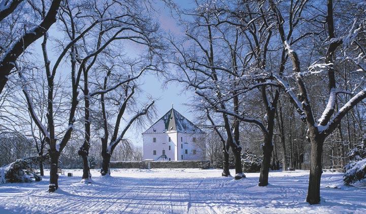 139 Různorodost sbírky i způsobu jejího zpracování nám dosud nedovoluje propojit