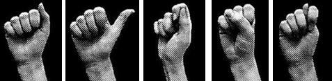 Skupina 4 typů tvaru - variantní tvary / ze skupiny tvarů zavřené (A), skupiny tvarů skrčené (O, C), skupiny tvarů s prsty u sebe (B) a skupiny tvarů prstů vztyčených ze zavřené dlaně (D, V, P, I Y,