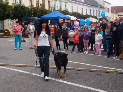 Kostelecký multižánrový hudební festival 12. Kostelecké posvícení a XI. Hudební festival F. I. A. Tůmy se konali ve dnech 12. 14. 09. 2014.