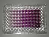 Testování in vitro 4.